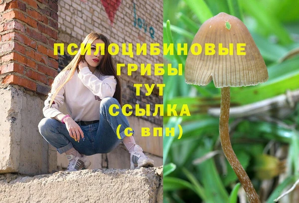 apvp Баксан