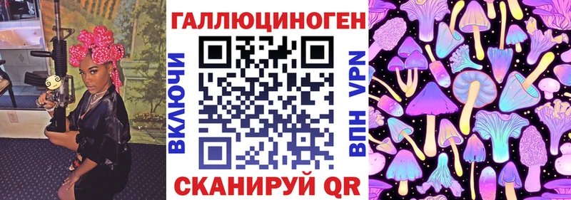 продажа наркотиков  darknet формула  Псилоцибиновые грибы GOLDEN TEACHER  Губаха 